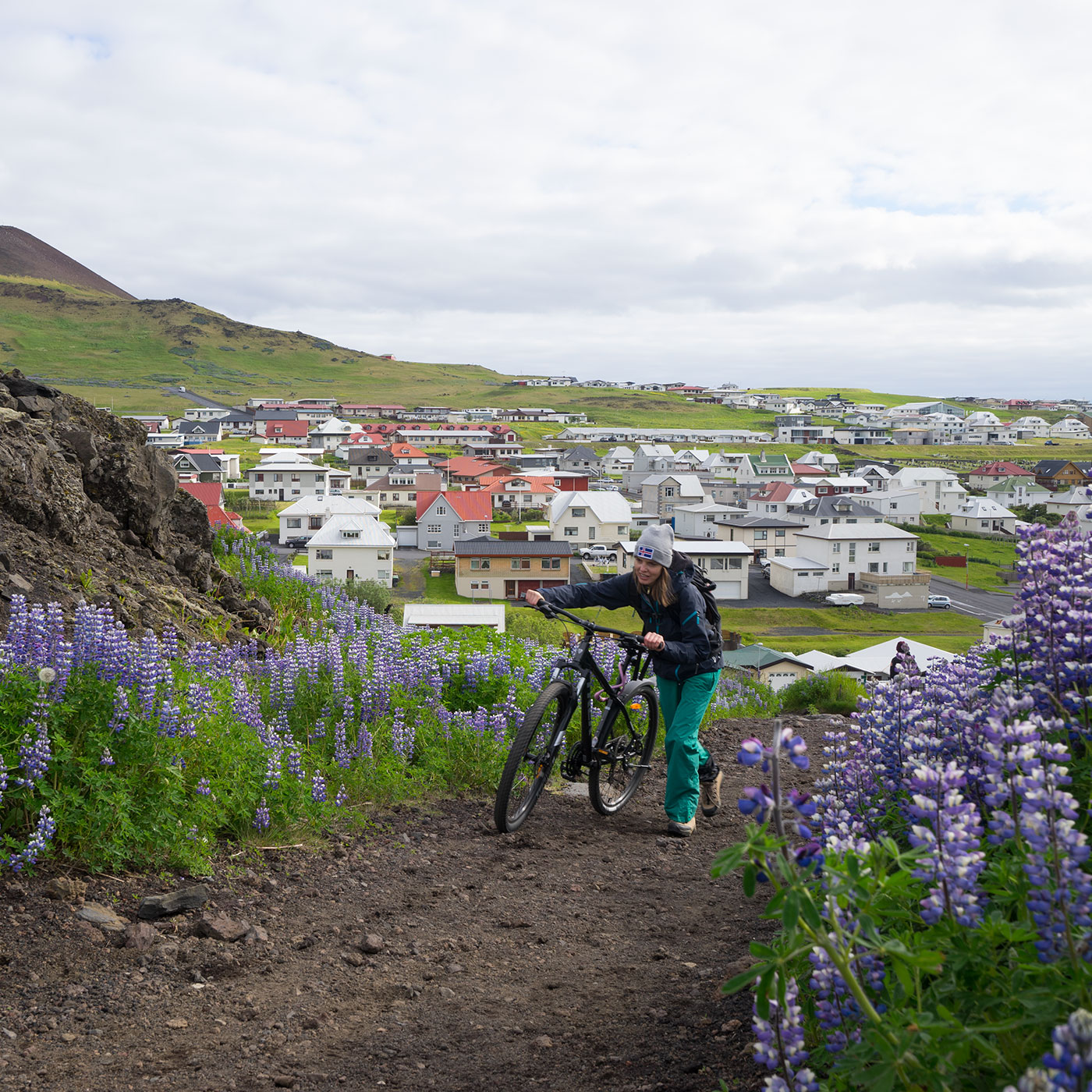 Why Iceland Is Turning Purple