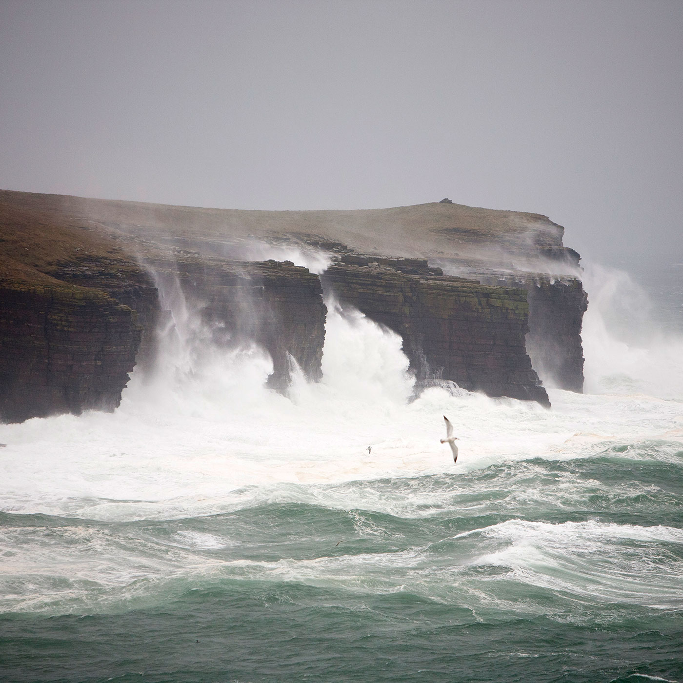 What History Gives, the Sea Steals