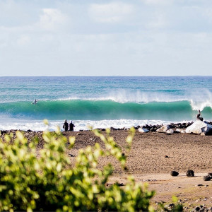 Surf and Turf: Saving a Wave by Protecting the Land