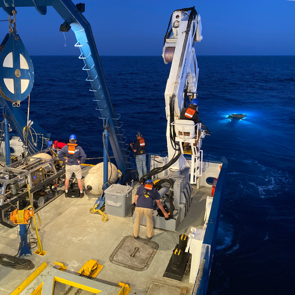 A Cancer-Quashing Microbe Emerges from the Deep