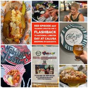 RED Episode 227 Training Updates and a Flashback to National Lobster Day at Calusa Brewing in Sarasota