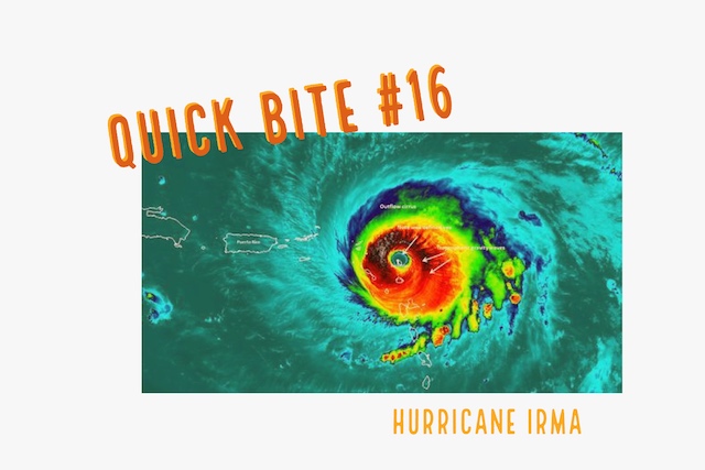 RED Quick Bite #16 Hurricane Irma