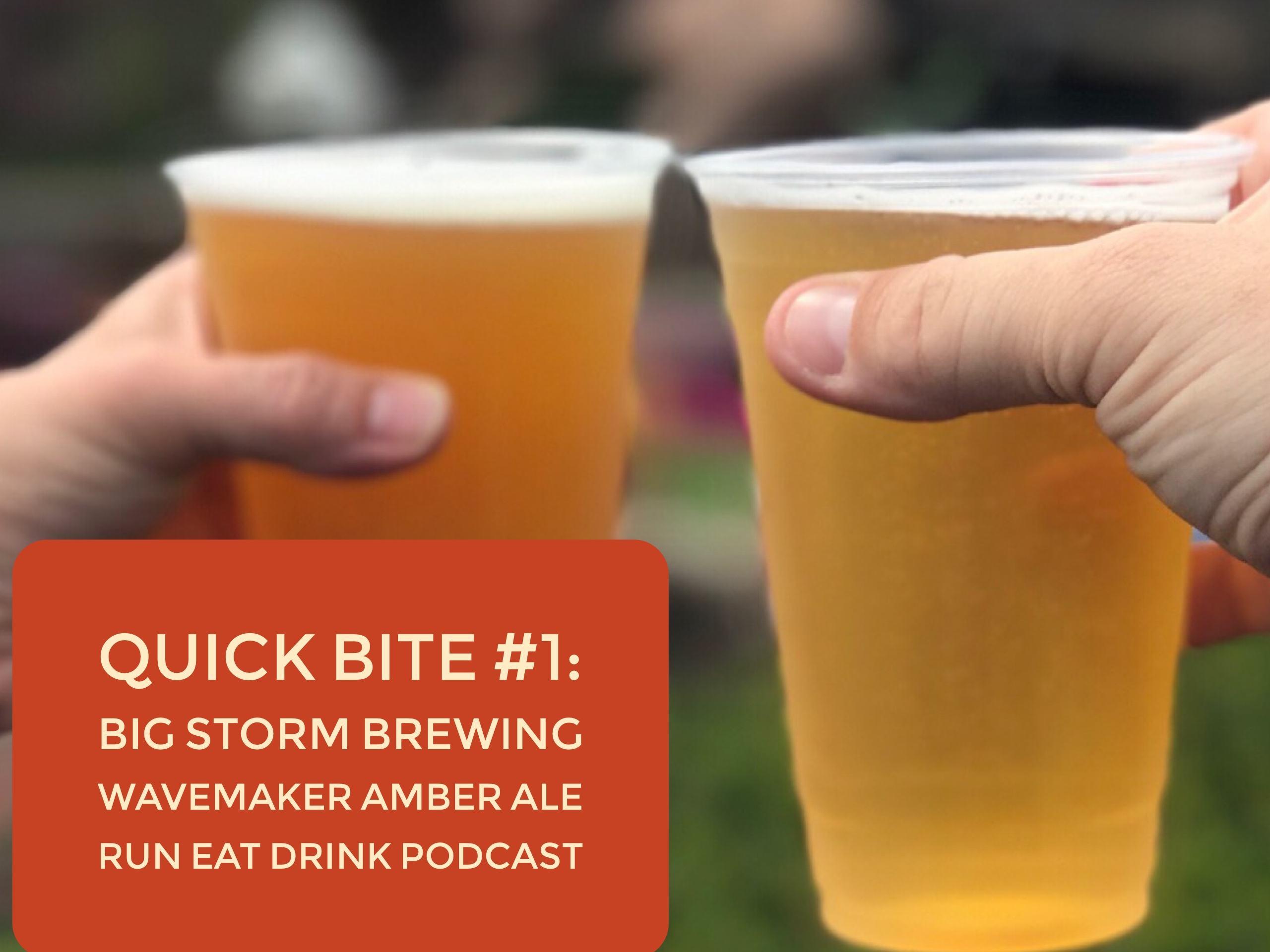 RED Quick Bite #1: Big Storm Wavemaker Amber Ale at the Tampa Beer Run