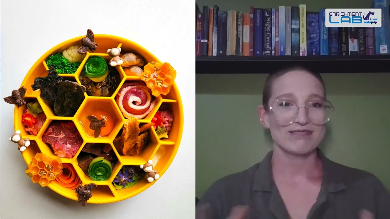 Sodapup Enrichment Lab Podcast