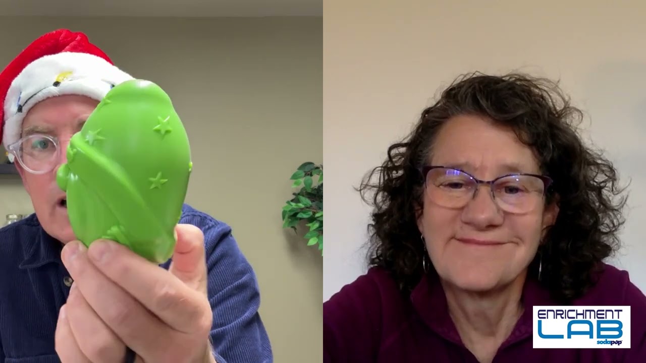 Sodapup Enrichment Lab Podcast