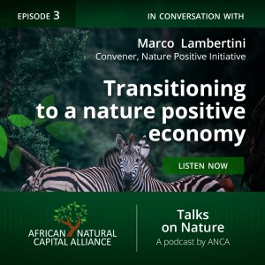 Building a Nature-Positive Economy: From Policy to Action