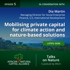 Mobilising Private Capital for Climate Action and Nature-Based Solutions