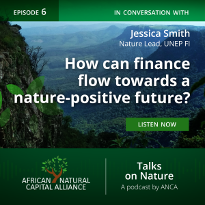 Greening the Financial Sector: How Can Finance Flow Towards a Nature-Positive Future?