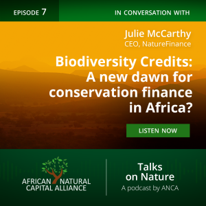 Biodiversity Credits: A New Dawn for Conservation Finance in Africa?