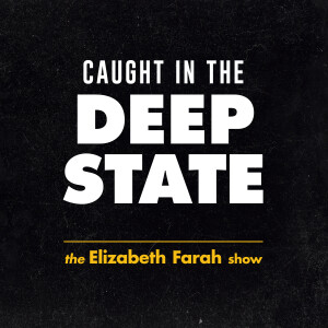 Sharyl Attkisson on Big Pharma, the FDA, and Their Deadly Profit Game