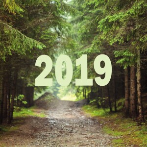 Misc 2019 Episode 30: New Year's Resolution | Luke 11:1-4