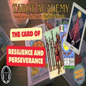 Tarot Academy Live at BBR | Sagittarius Season | The 9 of Wands