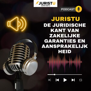 Juristu: De juridische kant van zakelijke garanties en aansprakelijkheid