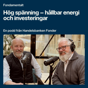 Hög spänning – hållbar energi och investeringar