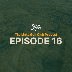 Episode 16: Hillcrest First Impressions with LinksDAO member Fezzington