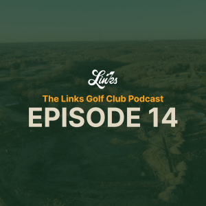 Episode 14: What's Next For LinksDAO?