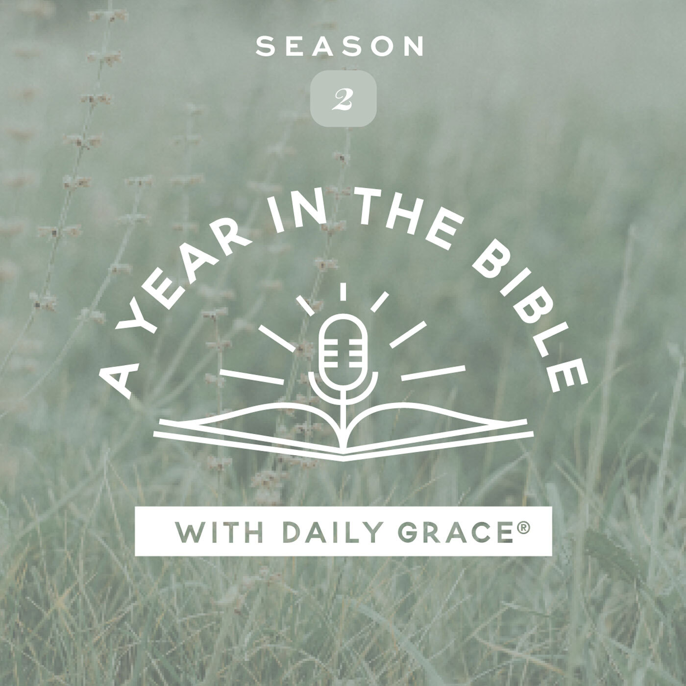 S2: 2 Thessalonians 1–3: Don’t Grow Weary