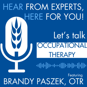 Brandy Paszek, OTR Talks Occupational Therapy with KXLG