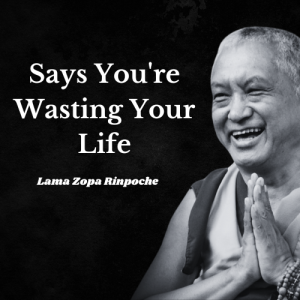 Why Lama Zopa Rinpoche Says You're Wasting Your Life