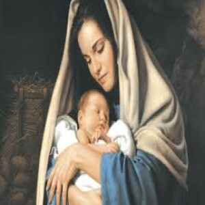 More Than Just the Mother of Jesus: The Hidden Life of Mary