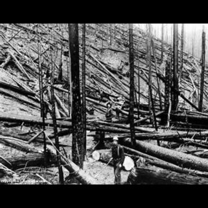 Forged in Wildfire: How the 1910 Big Burn Shaped America's National Forests