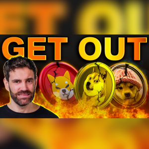 Crypto Insiders WARN: Memecoins Are Crashing – Get Out NOW!?