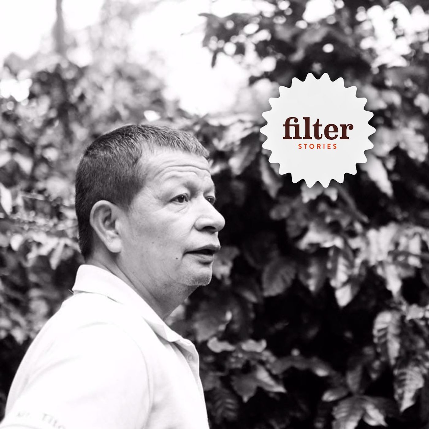 Filter Stories - Coffee Documentaries