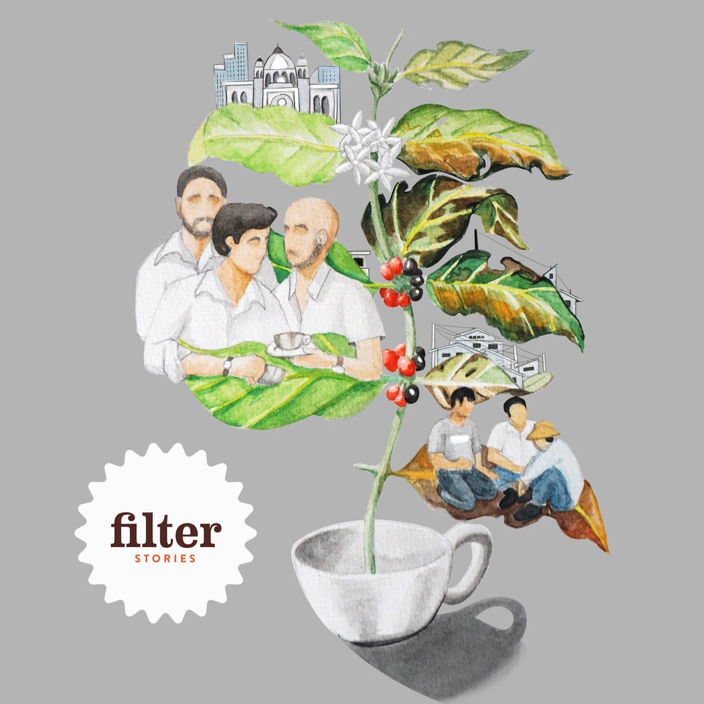 Filter Stories - Coffee Documentaries