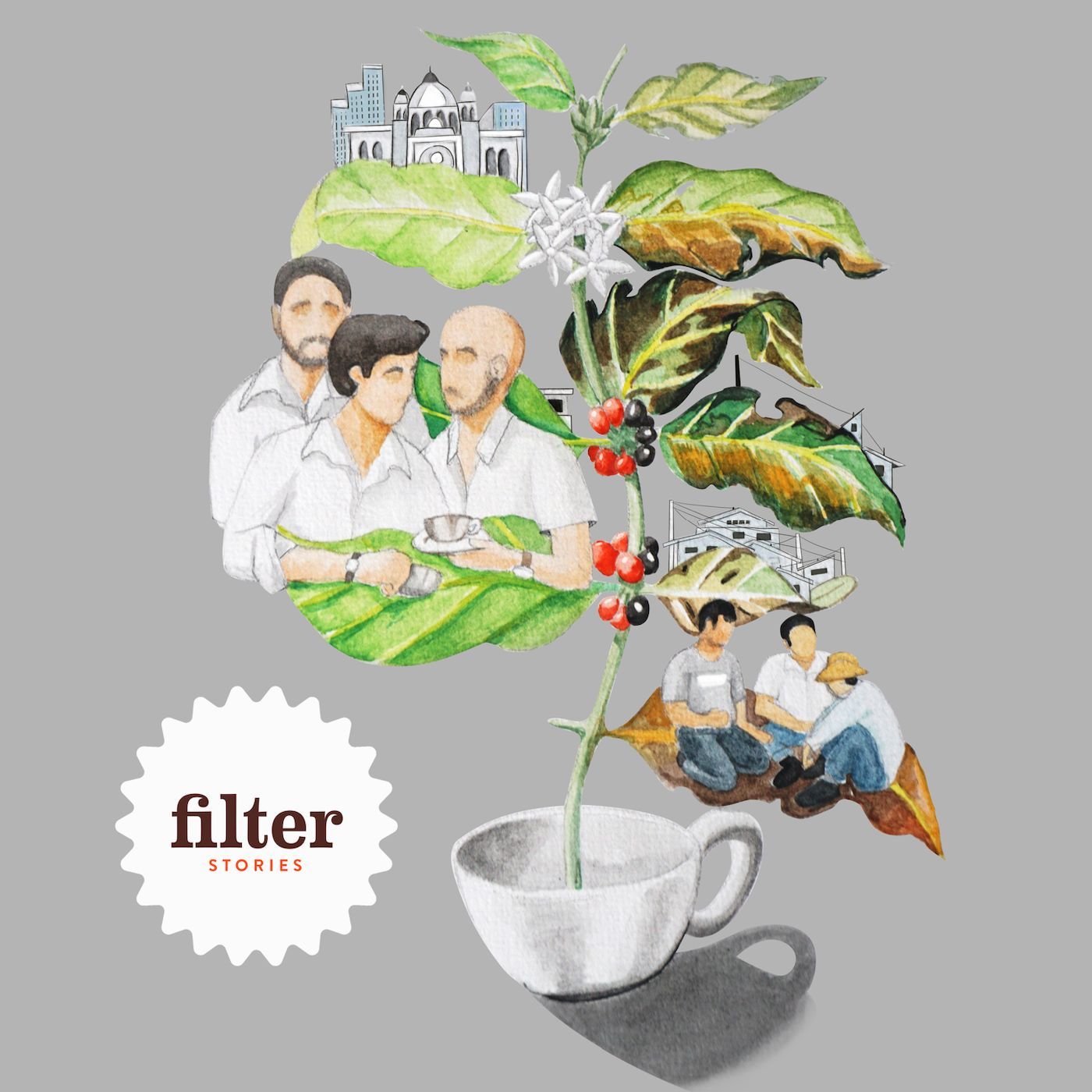 Filter Stories - Coffee Documentaries