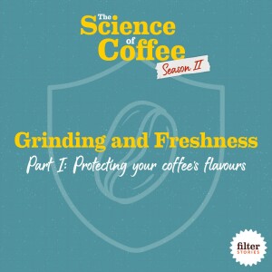 Freshness and Grinding, Part 1: Protecting your coffee’s flavours