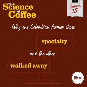 Why one Colombian farmer chose specialty, and the other walked away