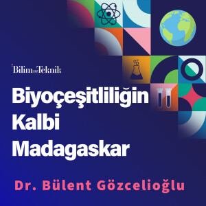Biyoçeşitliliğin Kalbi Madagaskar'ı Keşfetmeye Hazır mısınız?