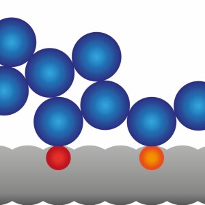 Adsorption—with a ”D”