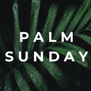 Matthew 21:1-11 - Palm Sunday