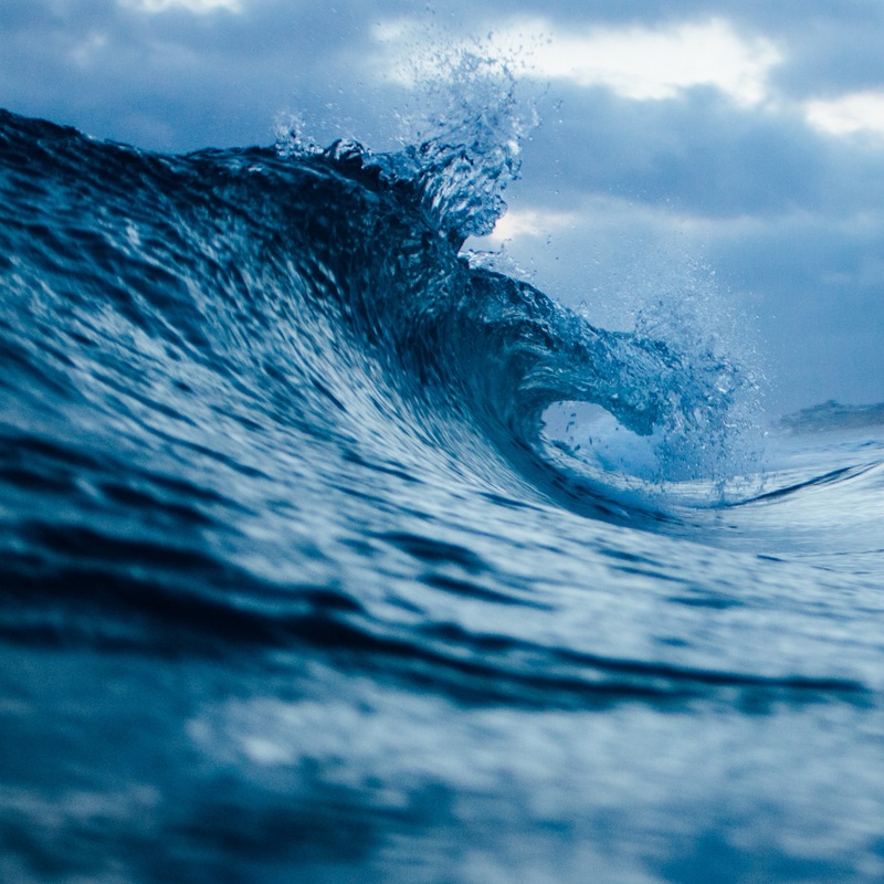 Unfurling Forces