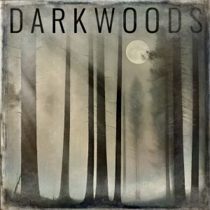 Dark Woods by Daniel Hawkins
