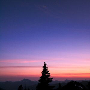 A Violet Sky