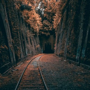 Mystical / Train - by Paul Asbury Seaman