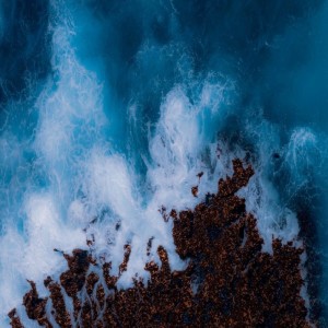Strange Beauty - 4th Excursions Vol. 2