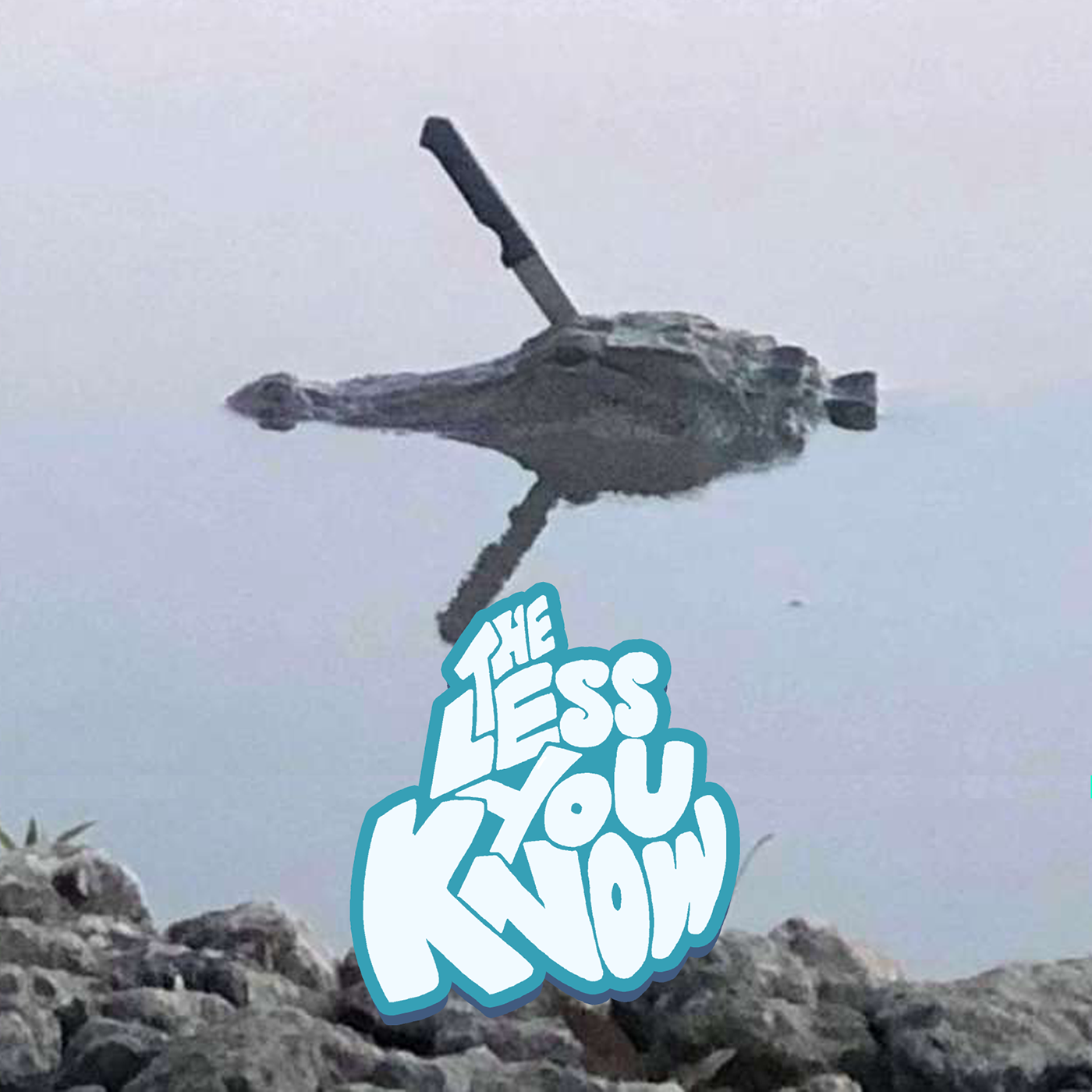 The Less You Know