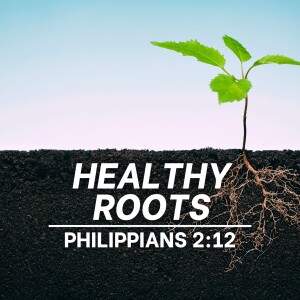 Healthy Roots - Philippians 2:12