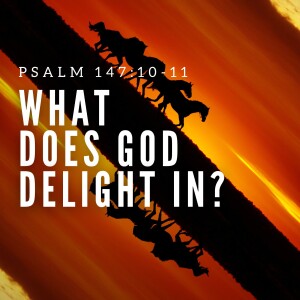 What Does God Delight in? (Psalm 147:10-11)