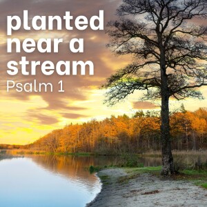 Planted Near a Stream (Psalm 1)