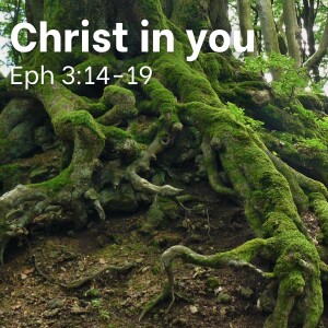 Christ in you (Ephesians 3:14-19)