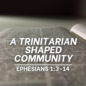 A Trinitarian Shaped Community (Ephesians 1:3-14)