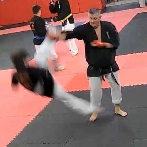 karate progression