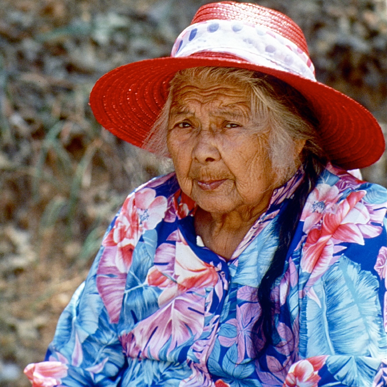 Sacred Land Speaks