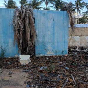 A Postcard from Mariana by Gabriela Nagle Alverio