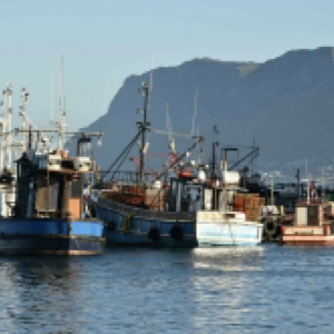 Whose Language? Afrikaans in Post-apartheid South Africa by Isaac Goldstein