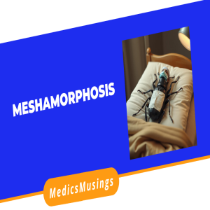 Meshamorphosis